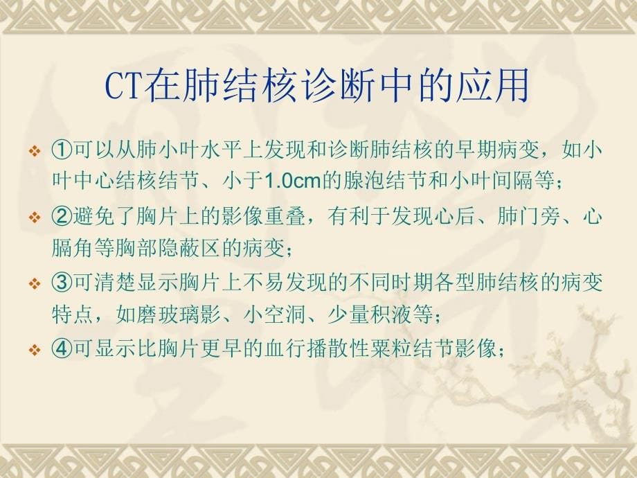 肺结核的影像学诊断总论_第5页