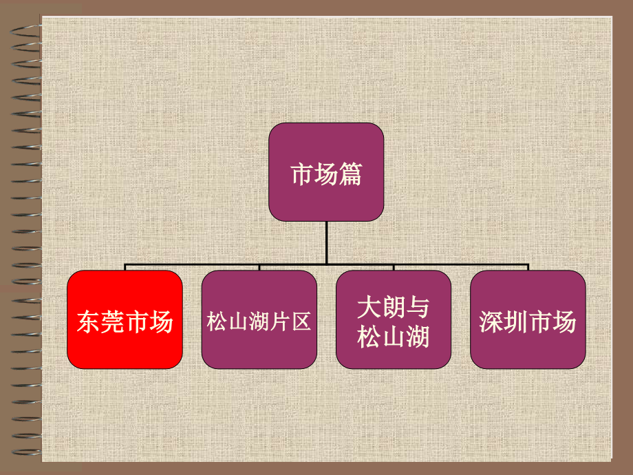 东莞碧水天源ⅳ定位及营销报告2007年04月26日_第4页