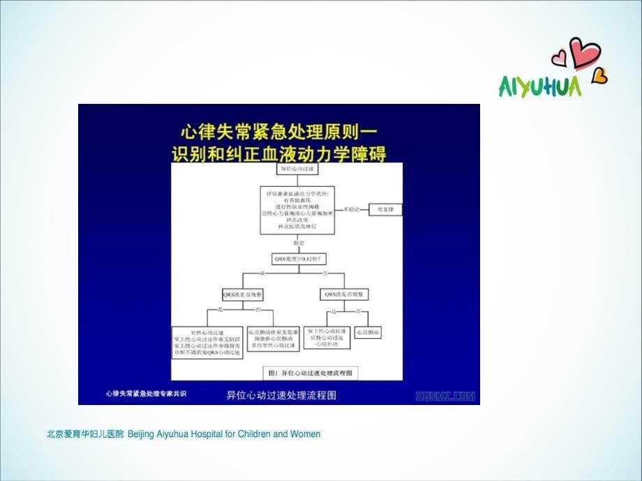 心律失常紧急处理的专家共识2014年_第5页