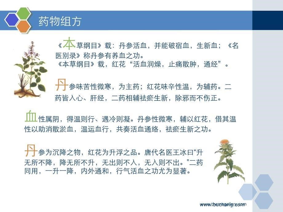 丹红注射液-骨科片步长倍通丹红注射液_第5页