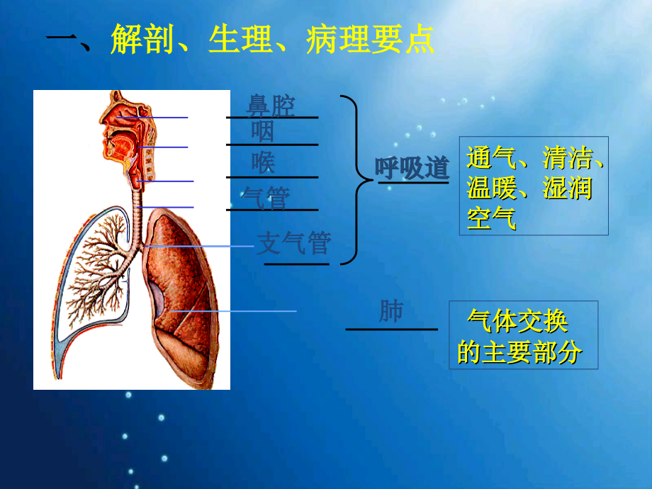 呼吸系统疾病病人护理总论范文_第3页