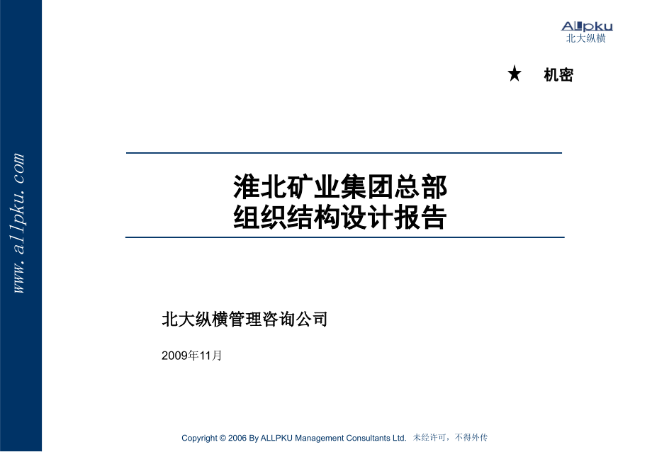 矿业集团组织结构设计报告2009年11月_第1页