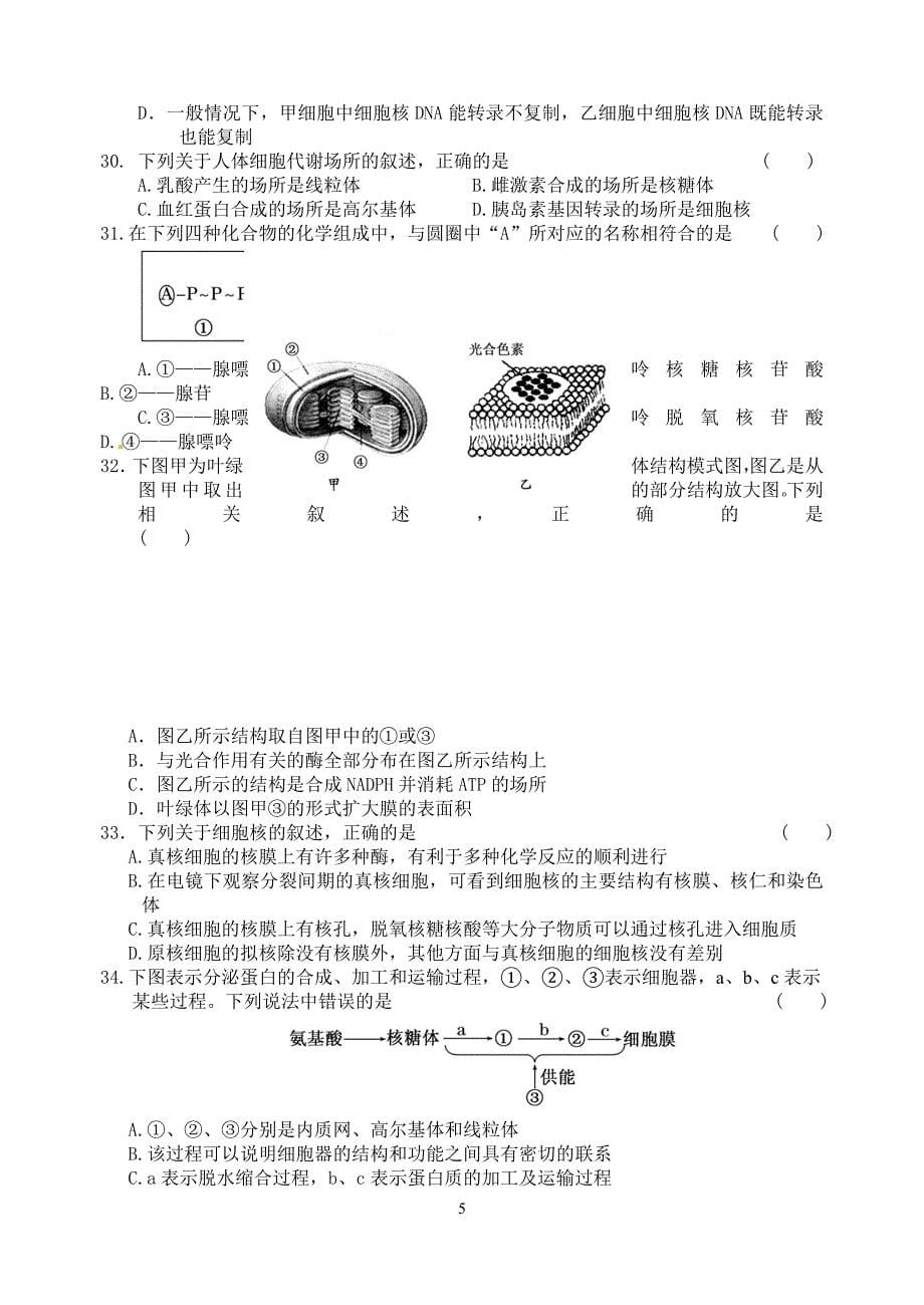 高三生物单元测试卷_第5页