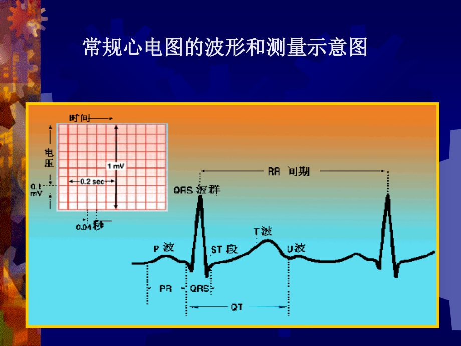 心电图的诊断和分析讲解_第2页