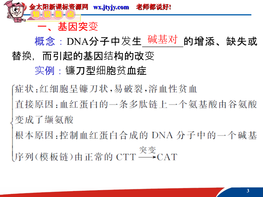 高三生物复习课件(安徽用)必修2第18讲__基因突变、基因重组和染色体变异.ashx_第3页