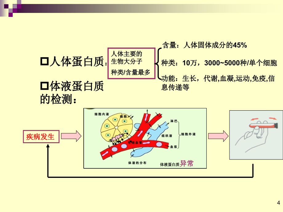 蛋白质与非蛋白含氮化合物检验经典_第4页