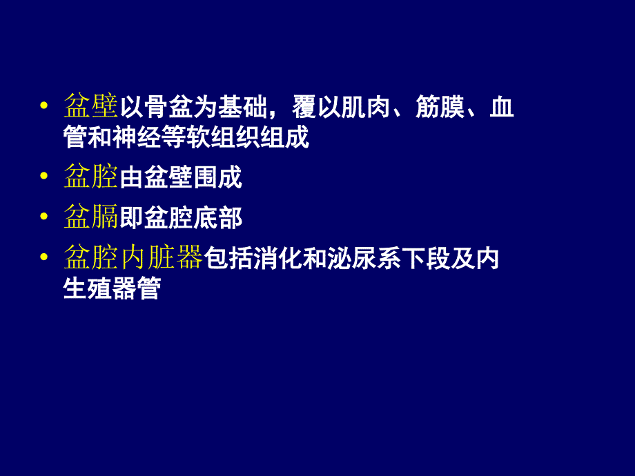 盆部断层解剖学教案_第3页