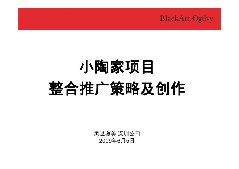 2009年哈尔滨小陶家商业地产项目整合推广策略及创作报告_第2页