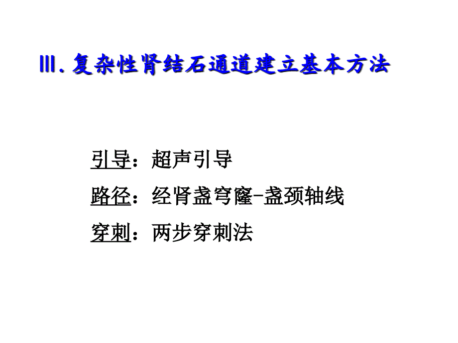 复杂性肾结石pcnl通道建立的策略程帆_第4页