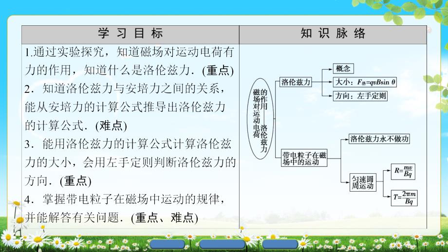 2018磁场对运动电荷的作用——洛伦兹力_第2页