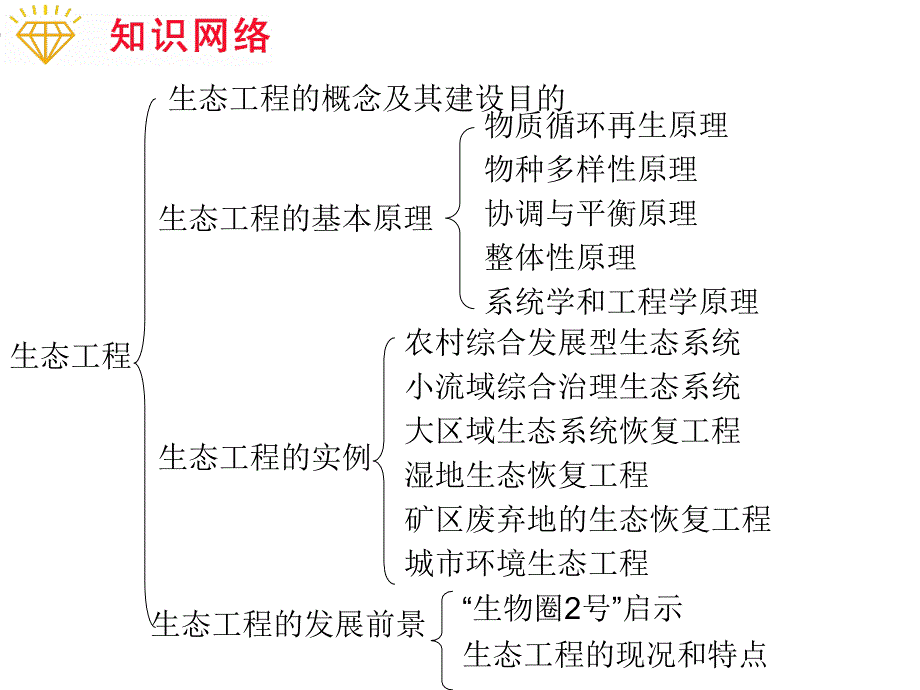 高考生物二轮课件：专题13生态工程_第2页