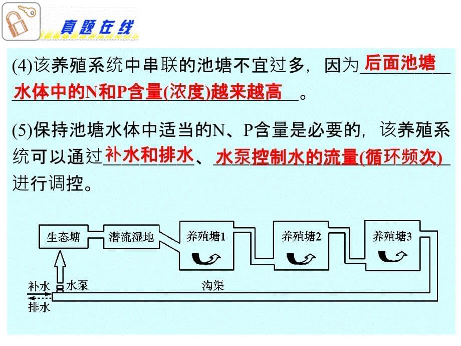 高考生物二轮课件：专题13生态工程_第5页