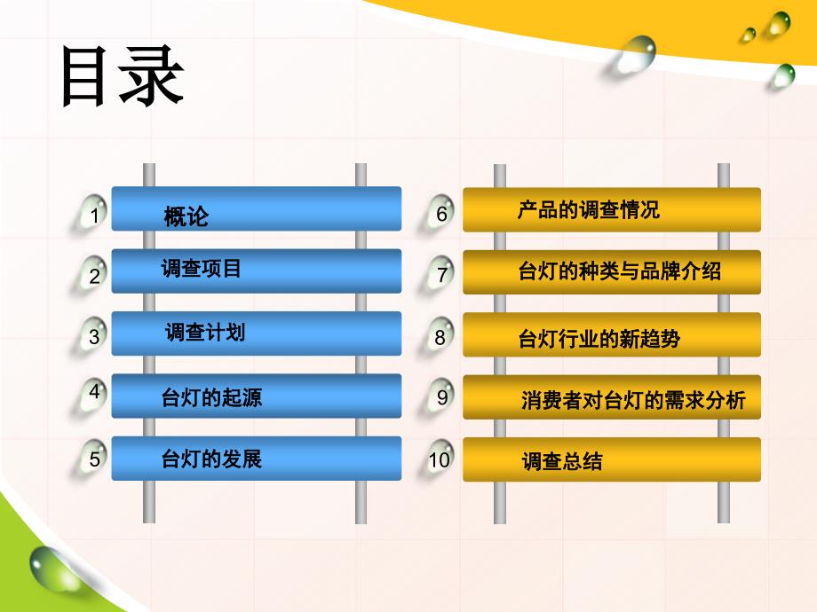 台灯调查报告调查员：梁桂梅_第2页