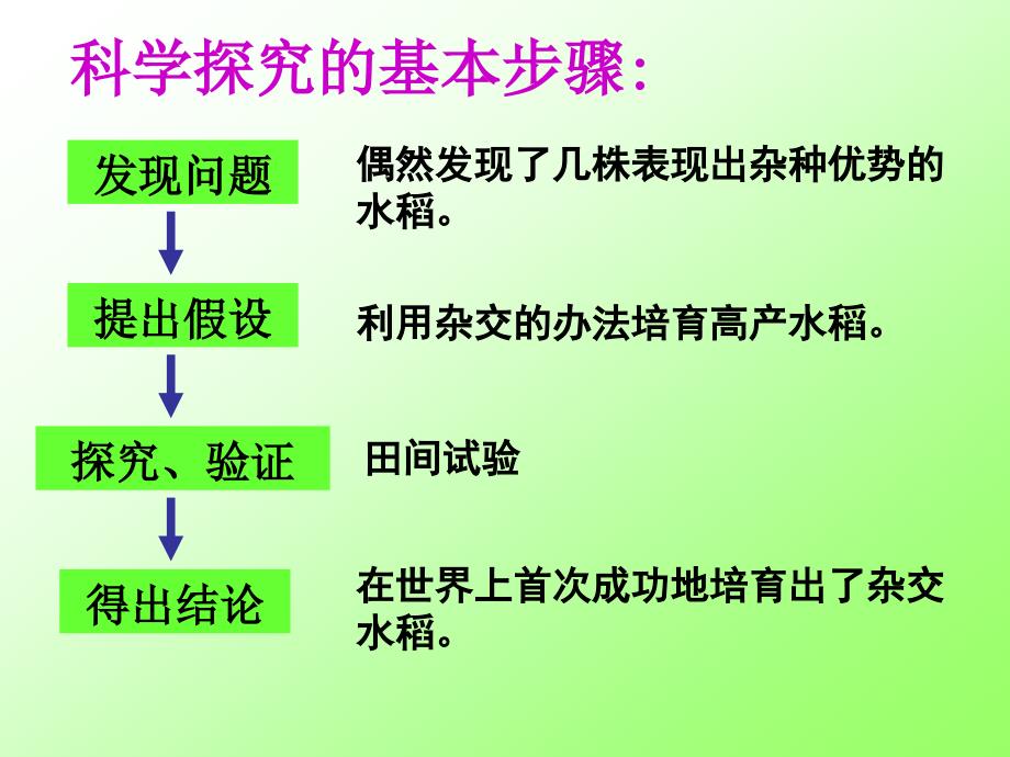 七年级生物我们身边的生物学_第3页