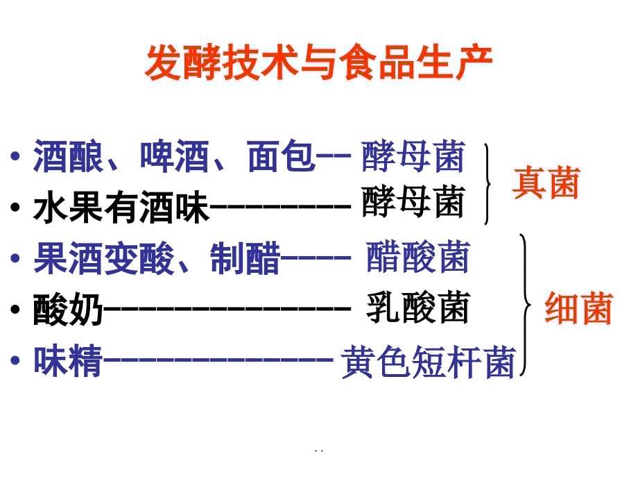 九年级生物日常生活中的生物技术_第5页