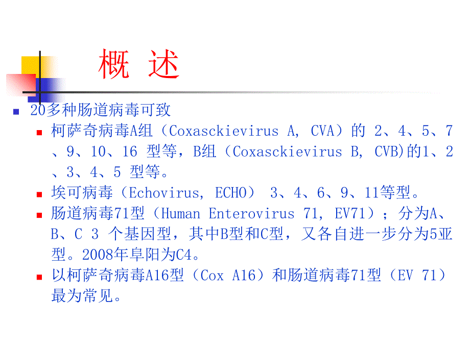 手足口病课件_1_第3页