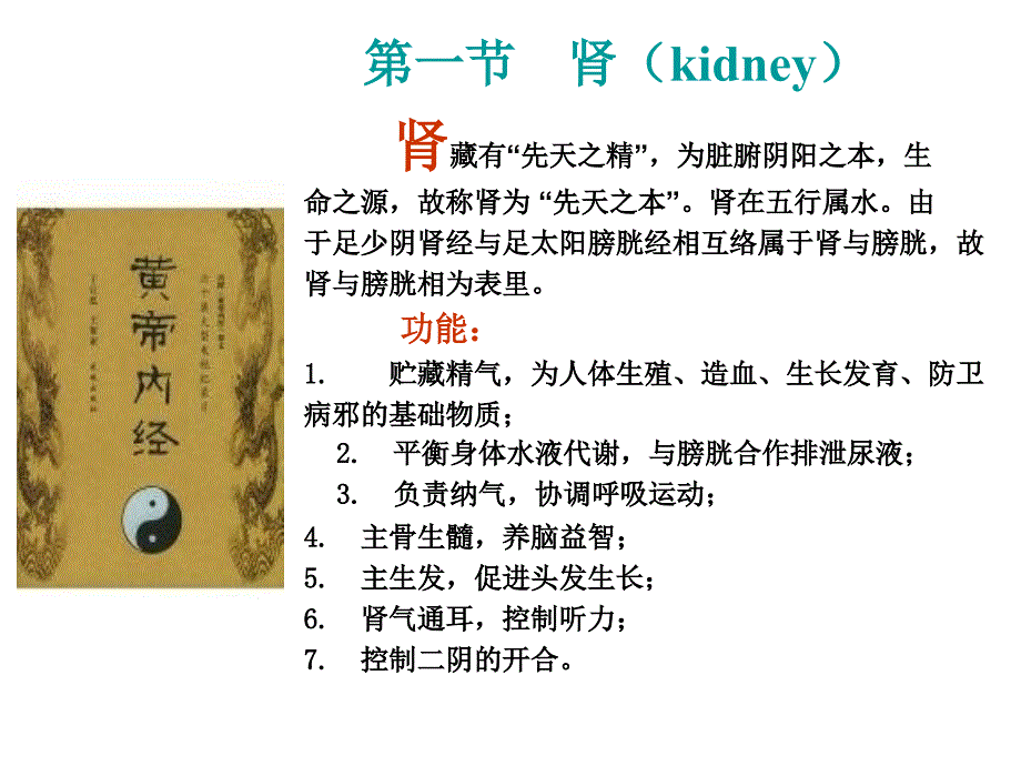 人体科学概论泌尿系统课件_第3页