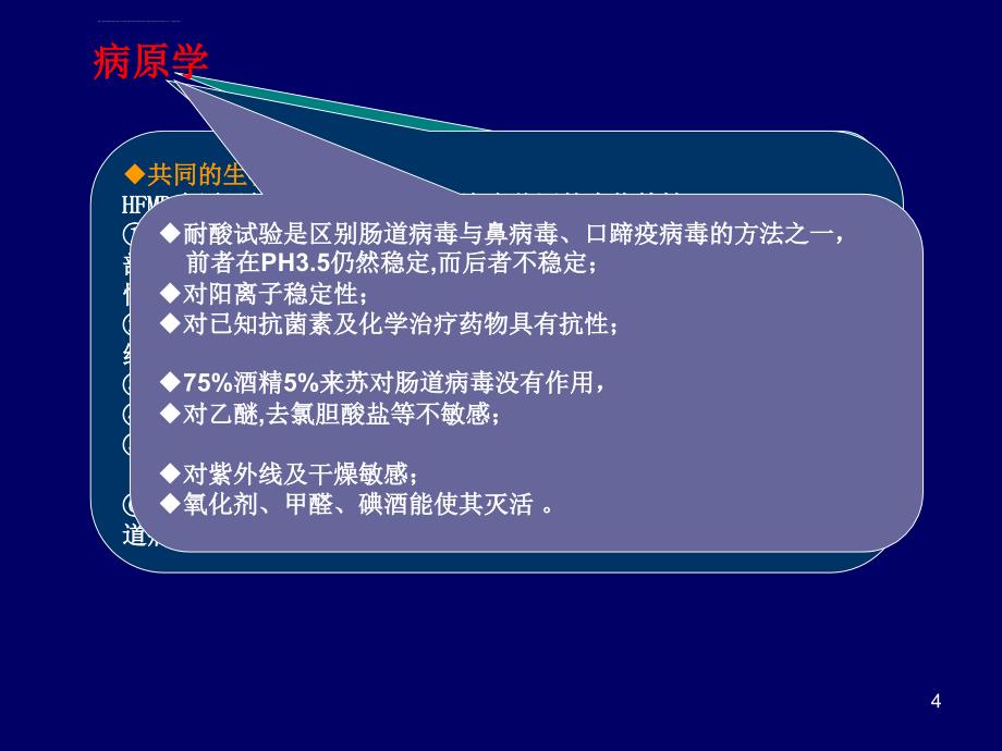 肠道病毒71型感染（手足口病）课件_第4页