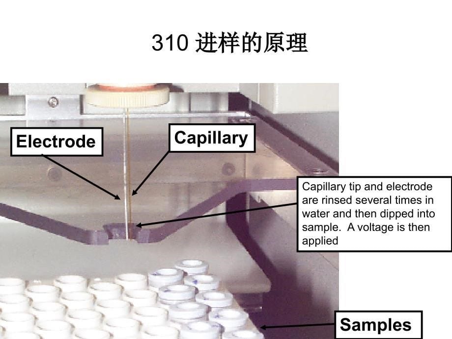 310基因分析仪_第5页