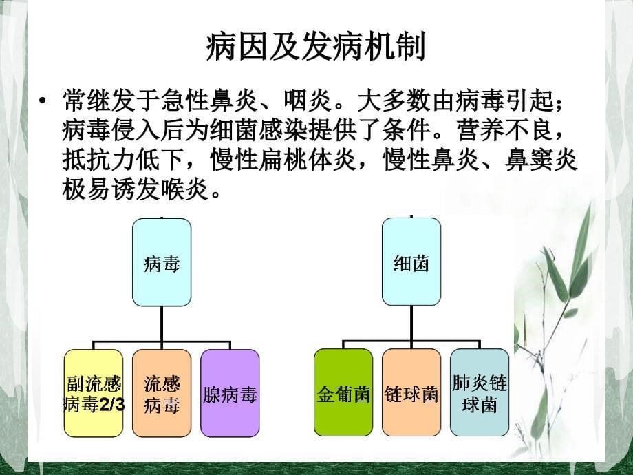 急性感染性喉炎课件_第5页