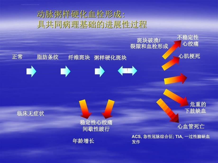 下肢动脉硬化闭塞症的诊断治疗和预防北京安贞医院_第5页