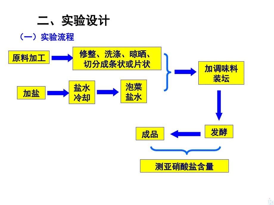 1.3泡菜的制作_第5页