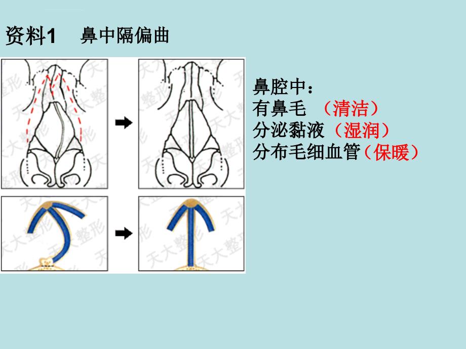 呼吸道对气体的处理课件_第3页