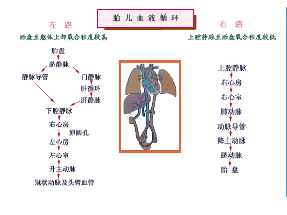 小儿常见先天性心脏病课件_第4页