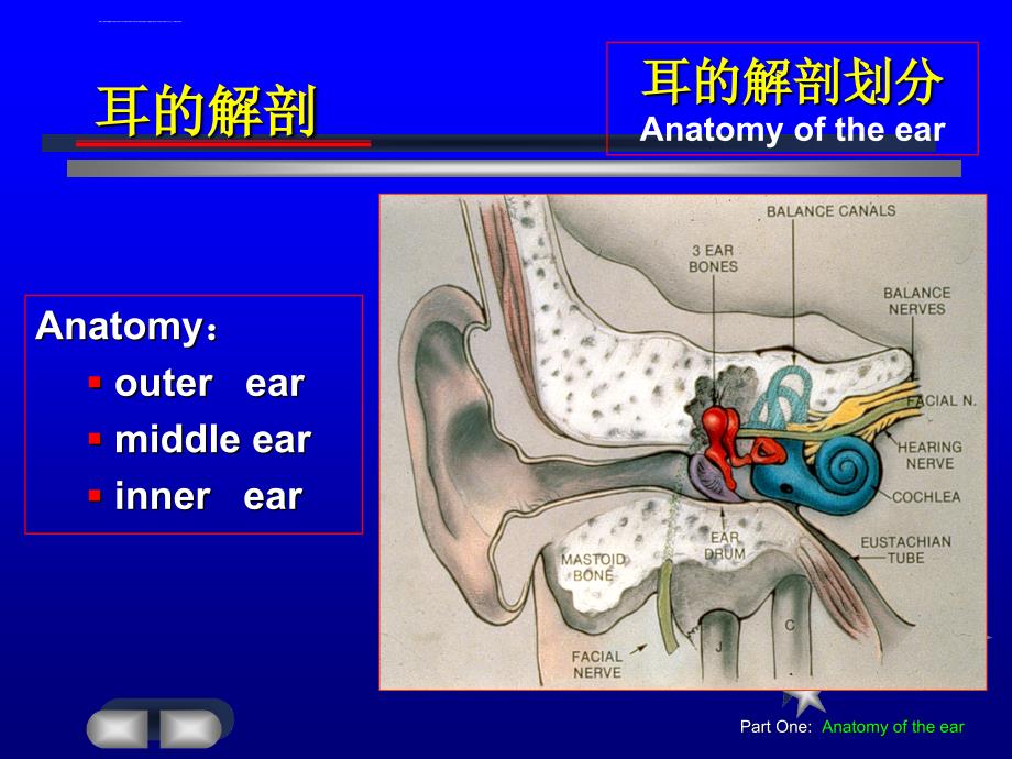 耳的解剖学课件_第3页