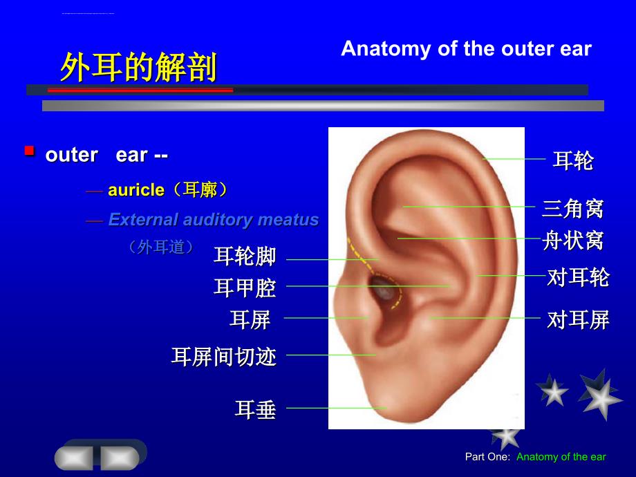 耳的解剖学课件_第4页