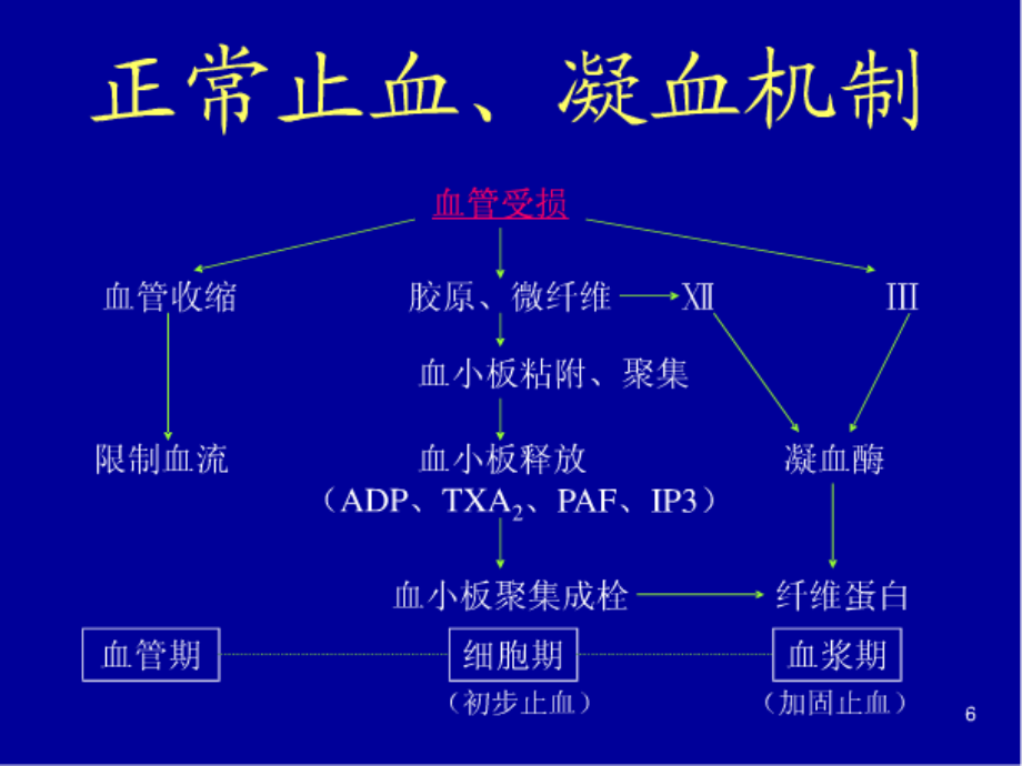 出血性疾病课件_第4页