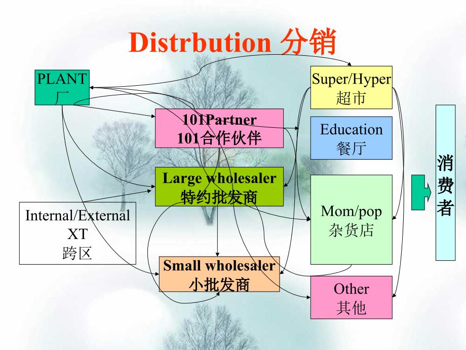 主要分销模式讲座_第3页