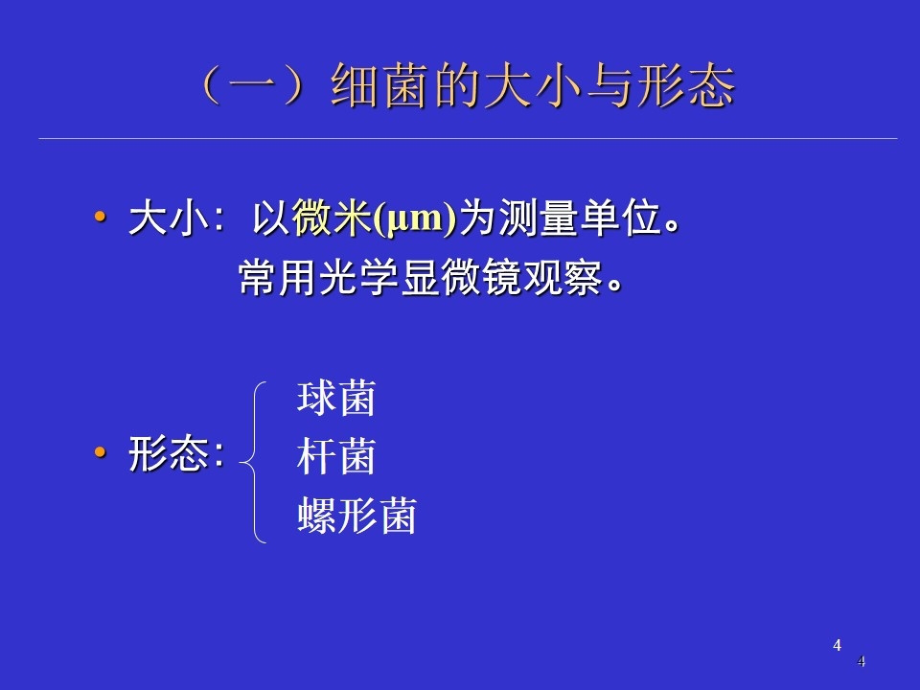 临床微生物学概论课件_第4页