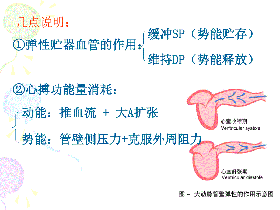 动脉血压形成机制课件_第2页