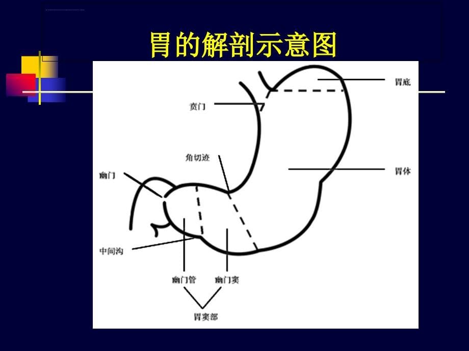 胃肠道疾病超声诊断课件_第5页