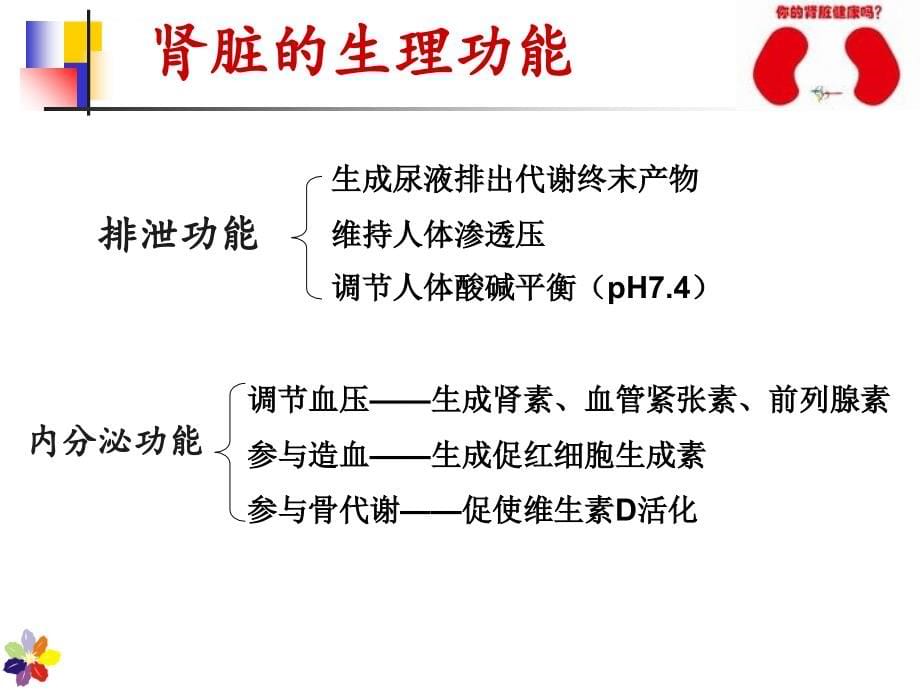 慢性肾衰竭的护理课件_第5页