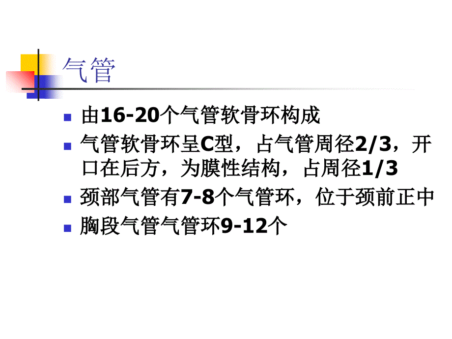 支气管及肺解剖课件_第3页