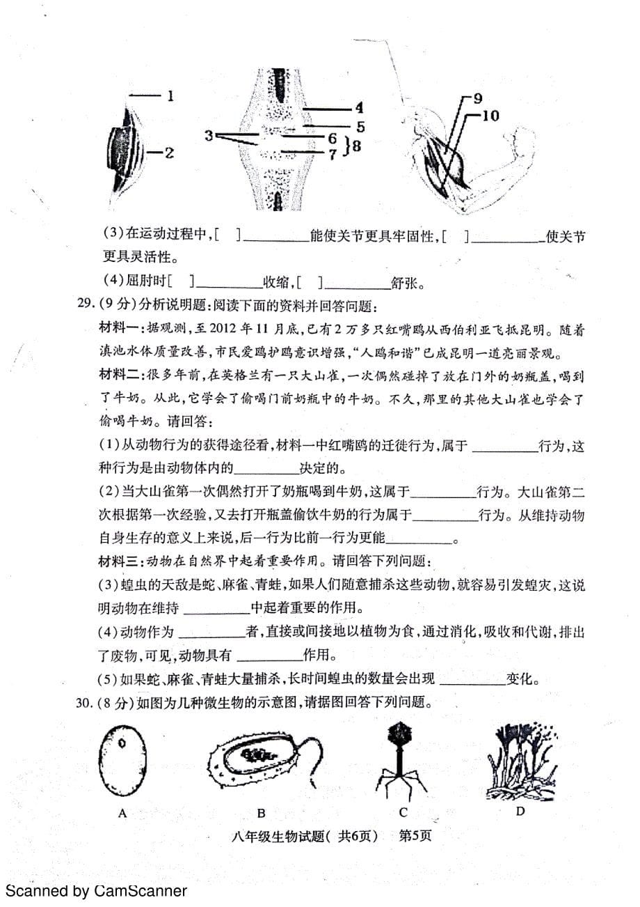 山东省聊城市莘县2016-2017学年八年级生物上学期期中试题（pdf）新人教版_第5页