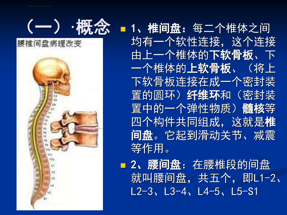 腰间盘突出症的康复治疗及相关问题课件_第3页