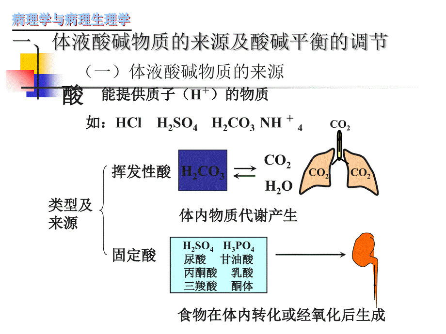 医学课件病理生理学酸碱平衡和酸碱平衡紊乱_第3页