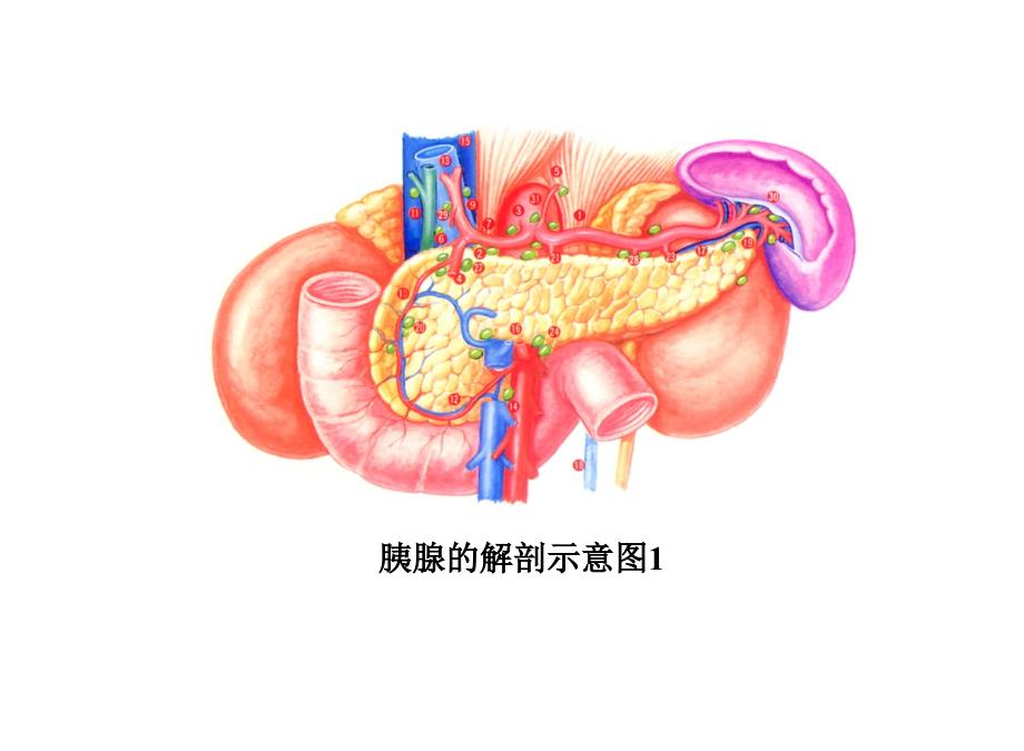 急性胰腺炎课件_6_第3页