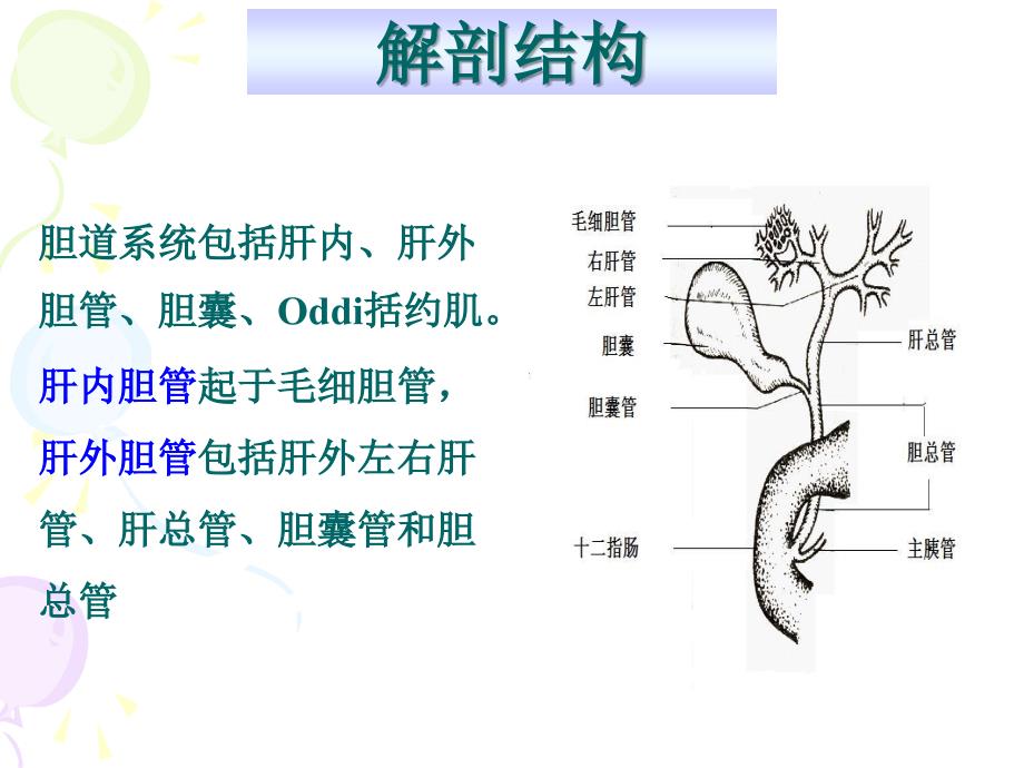 胆道疾病病人护理课件_第4页