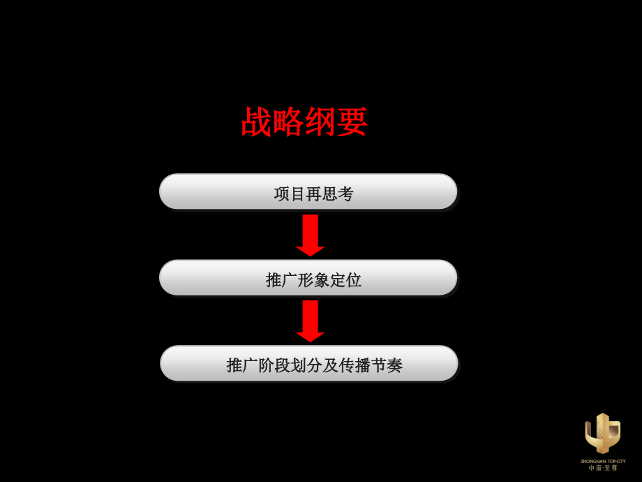 中南至尊整合推广(删除vi部分)2010.8～2011.4_第2页