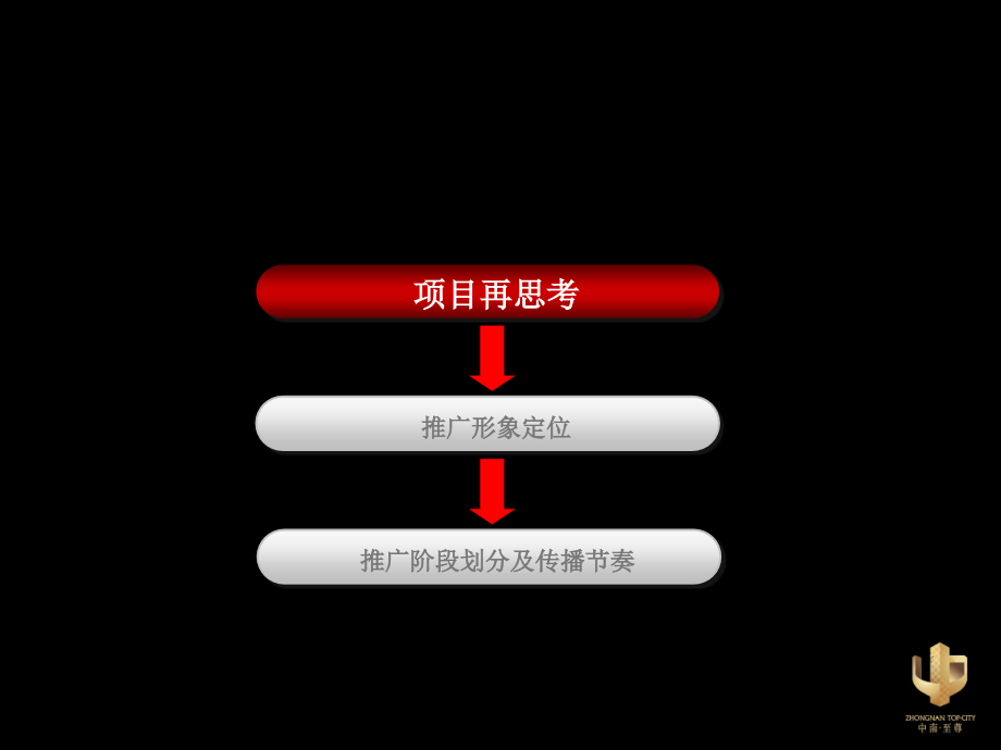 中南至尊整合推广(删除vi部分)2010.8～2011.4_第3页