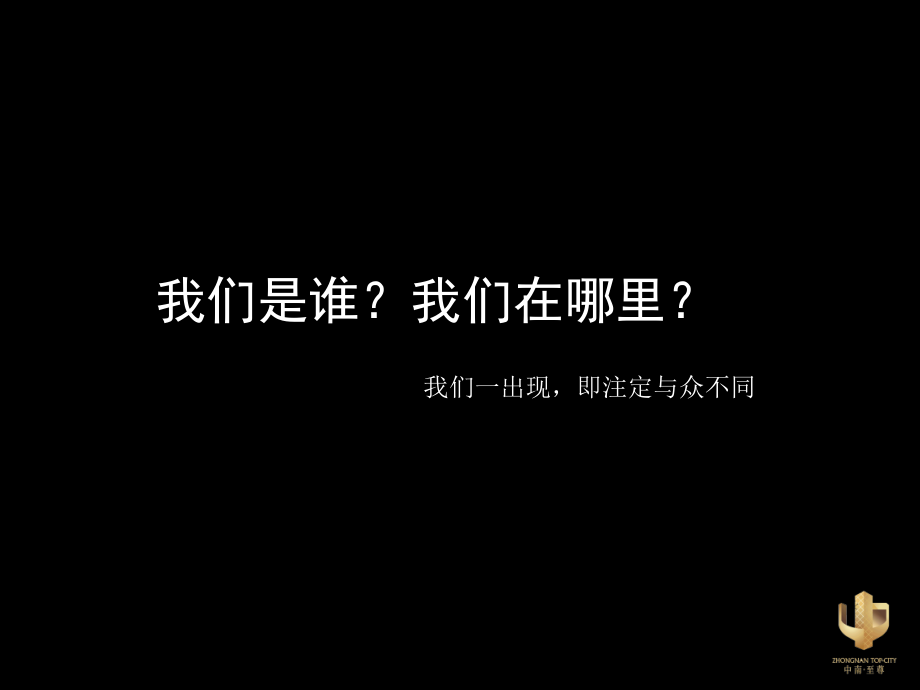 中南至尊整合推广(删除vi部分)2010.8～2011.4_第4页