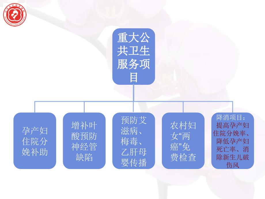 孕产妇健康管理课件_第4页