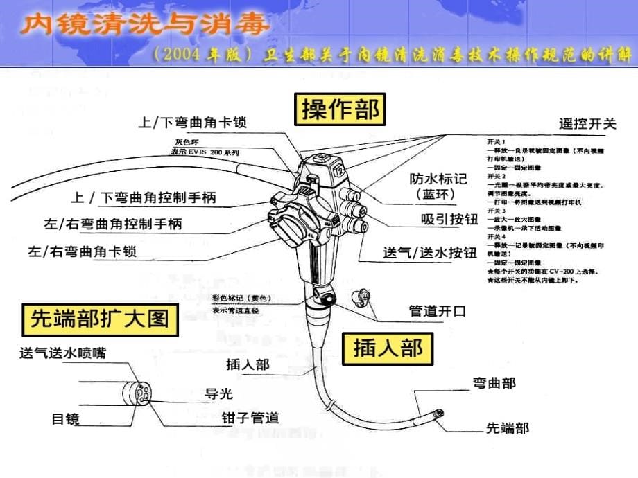 内镜清洗与消毒_第5页