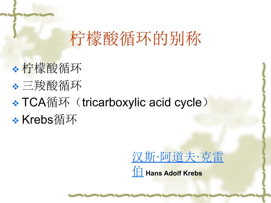 生物化学柠檬酸循环课件_第2页