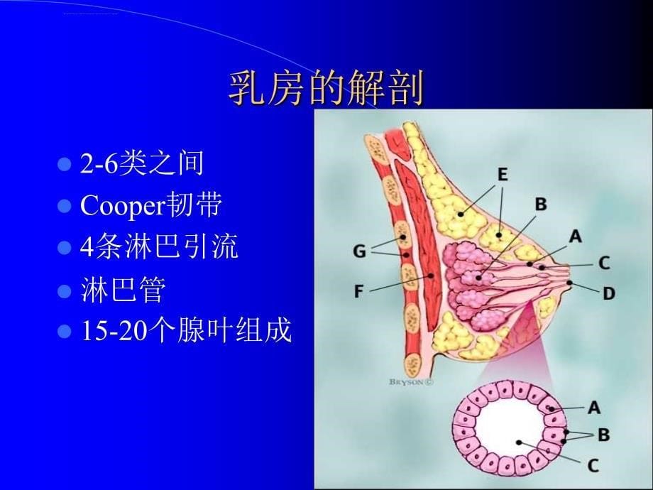 乳房疾病课件_1_第5页