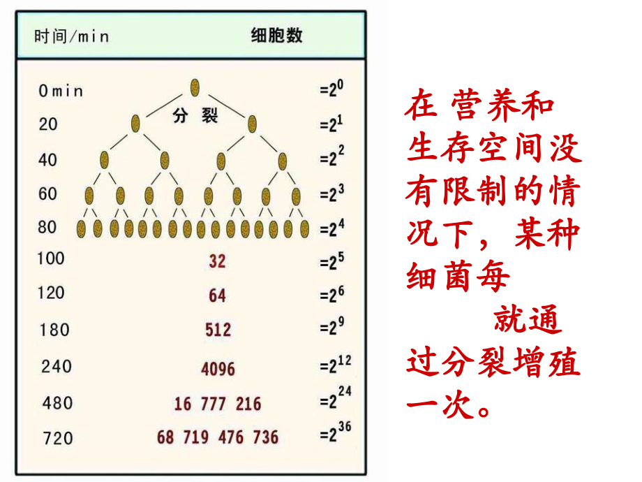 种群数量的变化(课件)_第2页